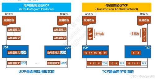 运输层 计算机网络中的关键环节