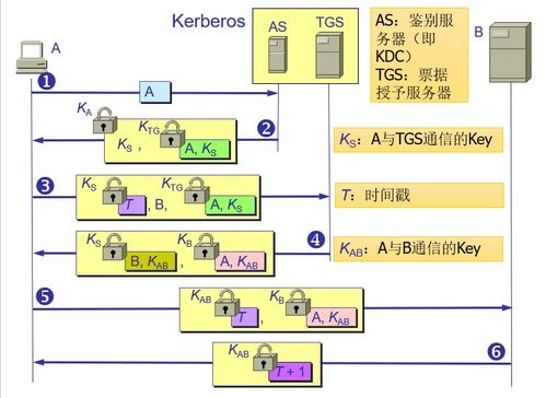计算机网络体系结构、网络安全与技术开发 互联时代的基石